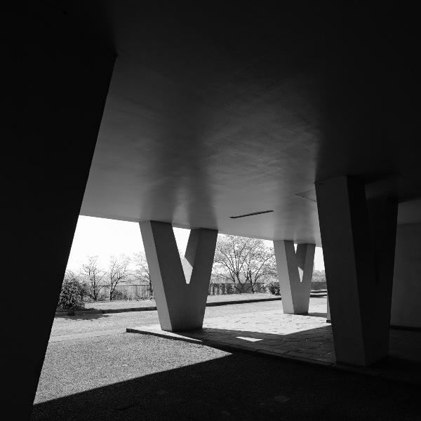 De l'Ombre à la Lumière