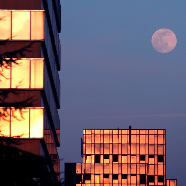 Couleurs de la nuit